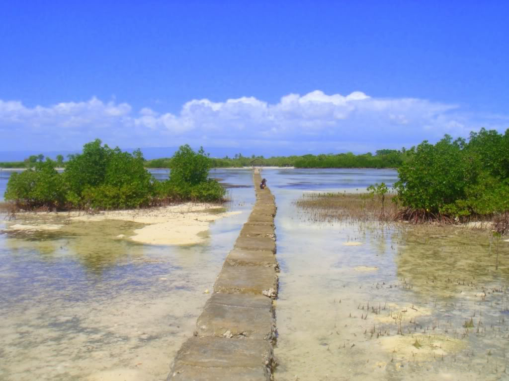 Olango Island Wildlife Sanctuary Entrance Fee Cheap Sale | www ...